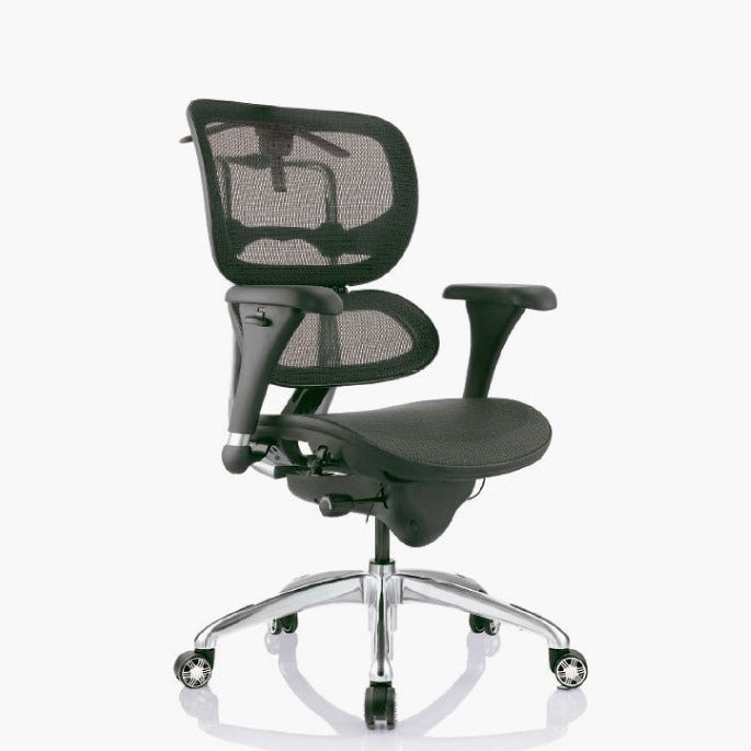SILLA GERENCIAL ERGOHUMAN ECO
