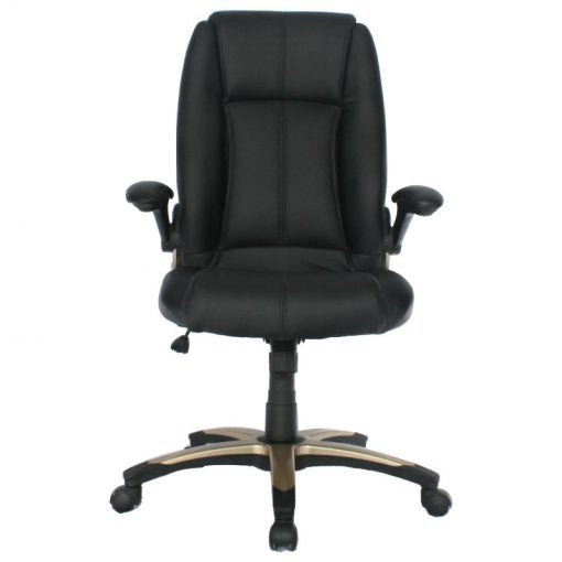 SILLA PRESIDENCIAL PALERMO