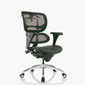 SILLA GERENCIAL ERGOHUMAN ECO